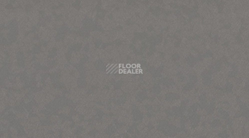 Линолеум Taralay Premium Compact Osmoz 3791 SLATE GREY фото 1 | FLOORDEALER